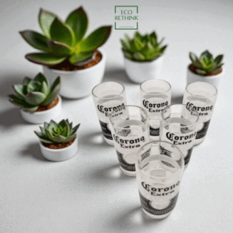 UP-CYCLED CORONA EXTRA GLASSES ( SET OF 6 )