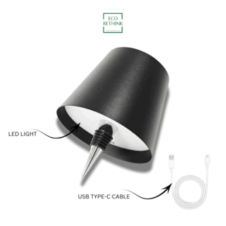 LAMP 2